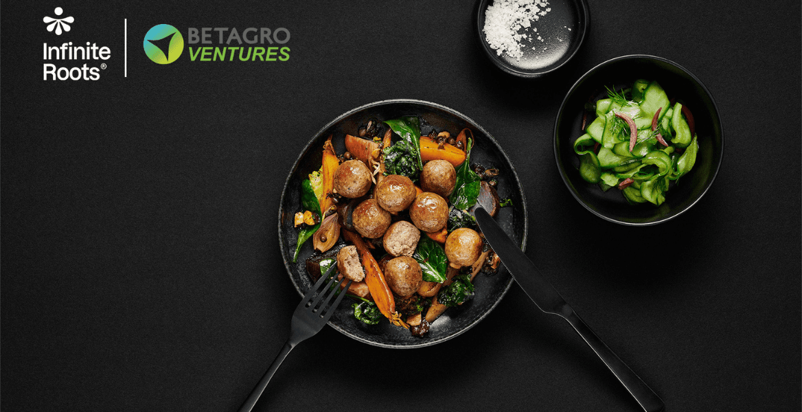 Biotech company Infinite Roots (formerly Mushlabs) secures 58 million USD for mushroom mycelium foods